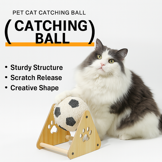 Pet Cat Catching Ball
